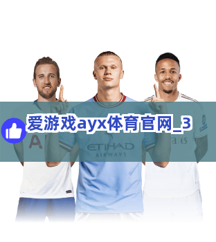爱游戏ayx体育官网截圖3