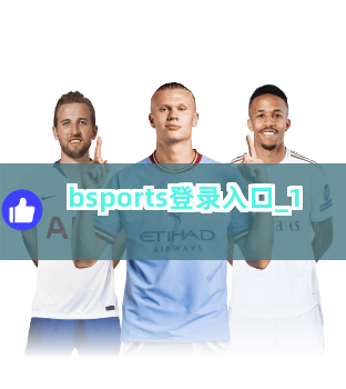 bsports登录入口截圖1